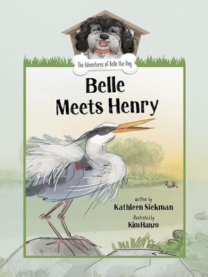 cover image of Belle Meets Henry